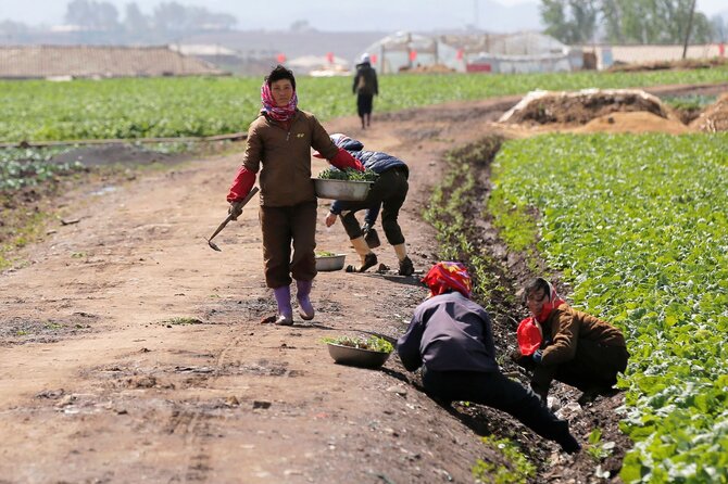„Reuters“/„Scanpix“ nuotr./Šiaurės Korėjos gyventojų kasdienybė