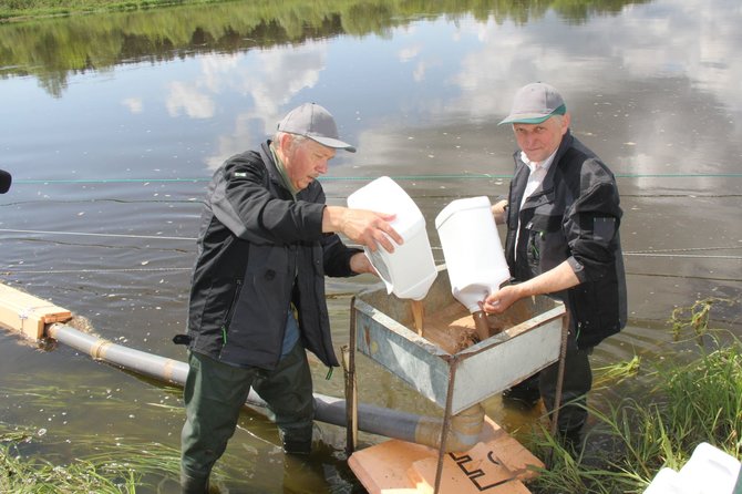 Druskininkų savivaldybės nuotr./Druskininkuose pradėta kova su kraujasiurbiais mašalais