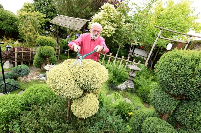 „Scanpix“/„Caters News Agency“ nuotr./Negalėdamas su žmona keliauti į savo svajonių šalį, britas skyrė 15 metų sukurti japonišką sodą