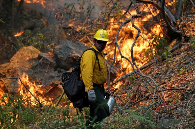 „Reuters“/„Scanpix“ nuotr./Miško gaisras Kalifornijoje