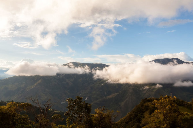 Vida Press nuotr./Ekvadoro Andų kalnuose esančios „pasaulio krašto“ sūpynės greta namelio medyje