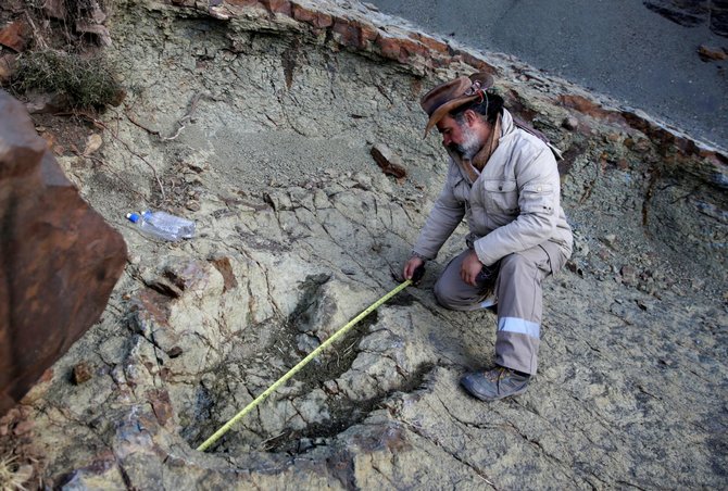 „Reuters“/„Scanpix“ nuotr./Dinozaurų pėdsakai Bolivijoje