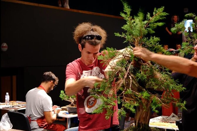 Juditos Judžiūnienės nuotr./Paskaita apie bonsai medelių formavimą