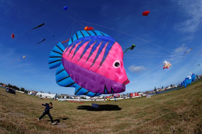 „Reuters“/„Scanpix“ nuotr./Aitvarų festivalis Pietų Afrikos Respublikoje