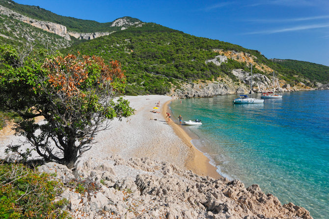 Vida Press nuotr./Lubenice paplūdimys Kreso saloje, Kroatijoje