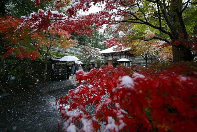 „Scanpix“/AP nuotr./Tokijuje pirmąkart per 54 metus lapkritį iškritęs sniegas sutrikdė eismą