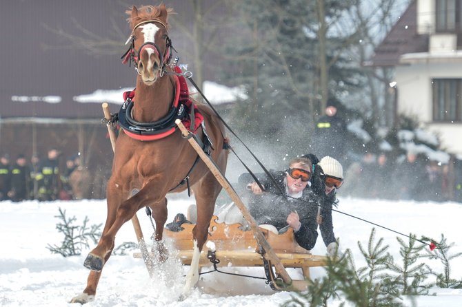 „Scanpix“/„Sipa USA“ nuotr./Tradicinės žirgų traukiamų vežimų lenktynės Zakopanėje