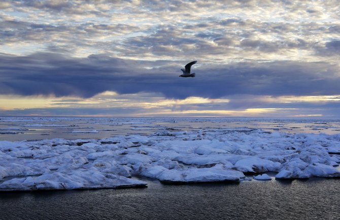 „Scanpix“/AP nuotr./Arkties tirpstančio ledo peizažai