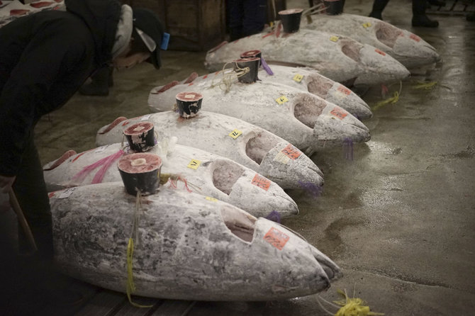 „Scanpix“/AP nuotr./Cukidžio turgaus Naujųjų metų tuno aukcionas