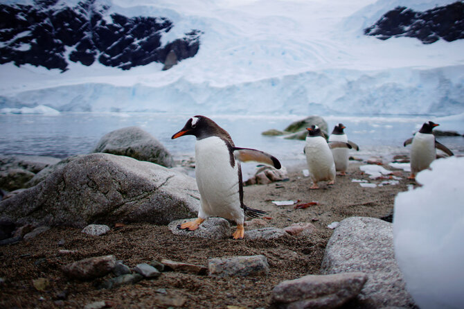 „Reuters“/„Scanpix“ nuotr./Antarktida