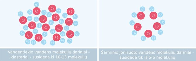 Projekto partnerio nuotr./11-12 molekulių