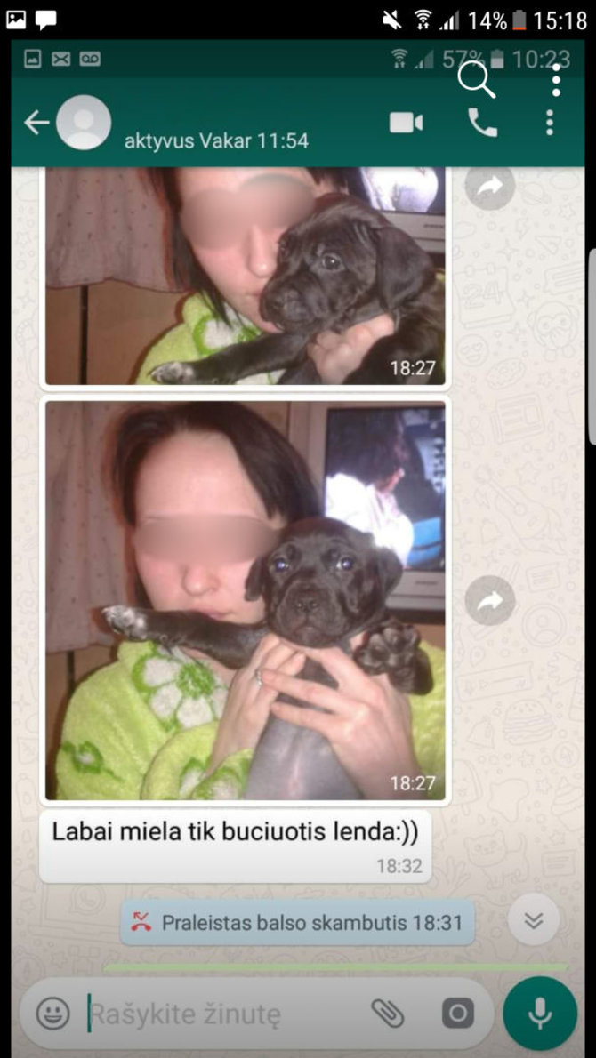 Skaitytojų nuotr./Nukentėjusiajai siųsta parduodamo šuns nuotrauka, kurioje, manoma, nusifotografavo pati Indrė Kriščiūnienė