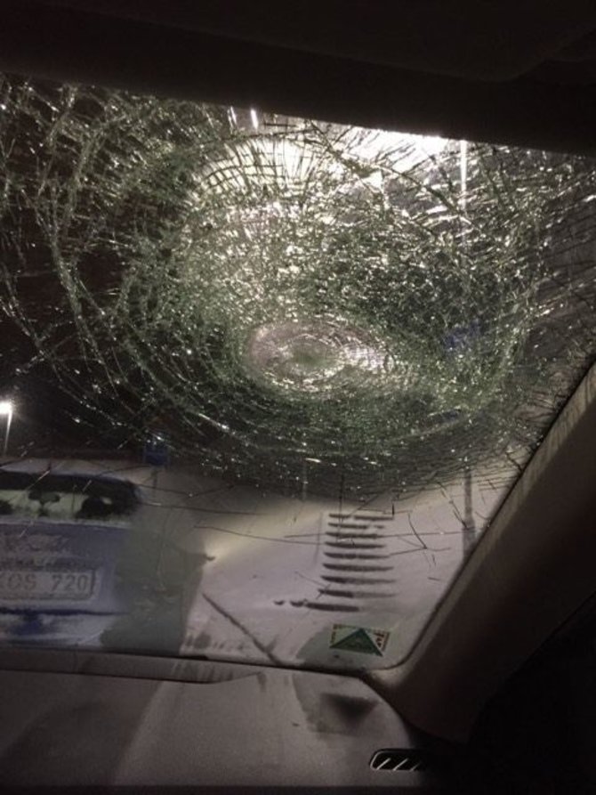 Nukentėjusiųjų nuotr./BMW išpuolis Kėdainių rajone