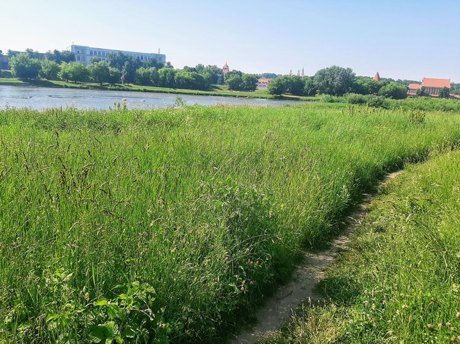 Skaitytojo Mindaugo nuotr./Nenušienauta teritorija Brastos gatvėje