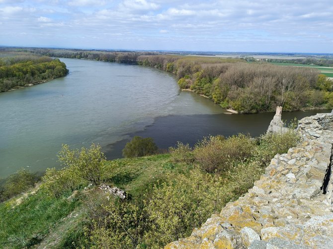 Karolinos Stažytės nuotr./Dunojaus ir Moravos upių santaka