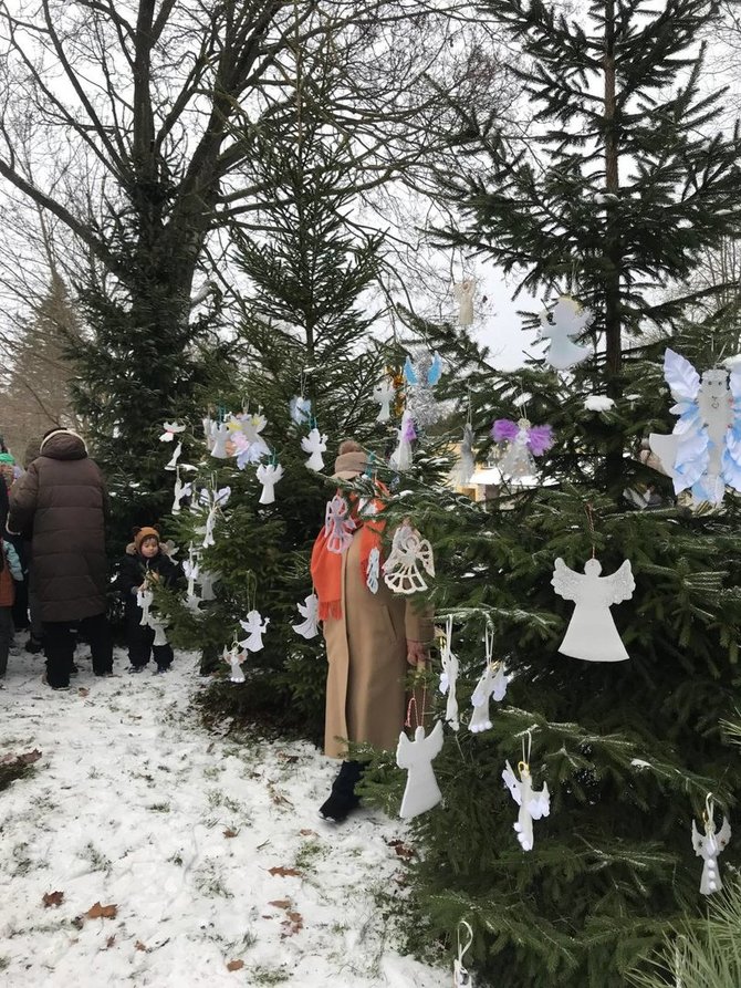 VšĮ „Domeikavos vienybė“ nuotr./Protestas Domeikavoje prieš norimus įkurti pusiaukelės namus