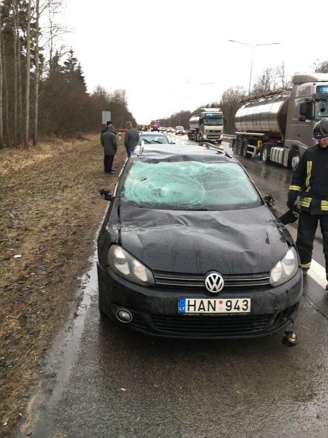 Kauno apskrities PGV nuotr./Autostradoje Kaunas–Vilnius ant dviejų automobilių užgriuvo medis