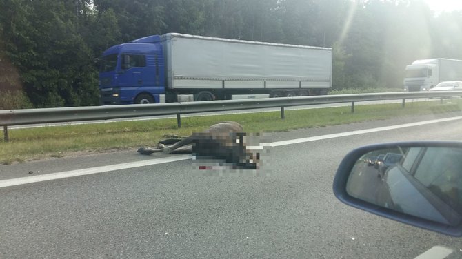 15min skaitytojo Andriaus nuotr./Įvykio vietoje