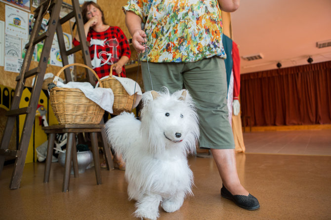 Mariaus Vizbaro / 15min nuotr./Muziejus „Lėlių namai“ Bajoruose