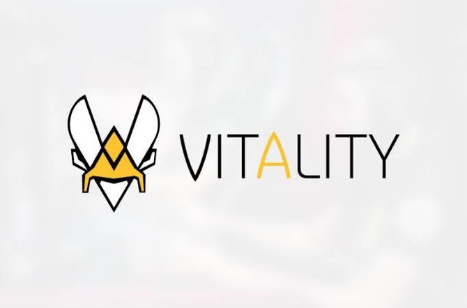 „Team Vitality“