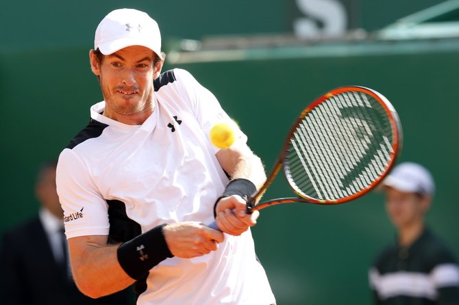 „Scanpix“ nuotr./Andy Murray prieš Milošą Raoničių