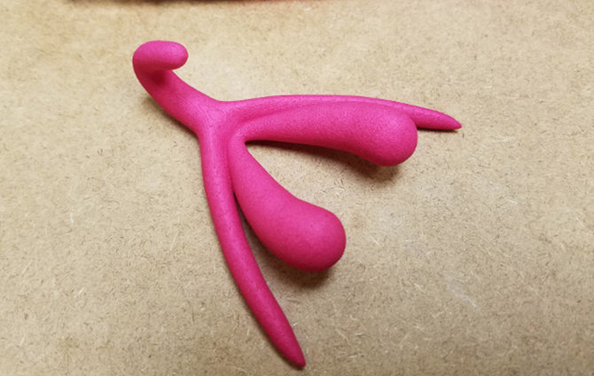 Aurikos Valan nuotr./Tikroji klitorio forma. Išorėje matome tik jo galvutę