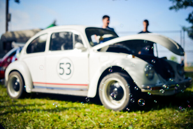 Kazimiero Seselgio nuotr./VW vabalų paroda