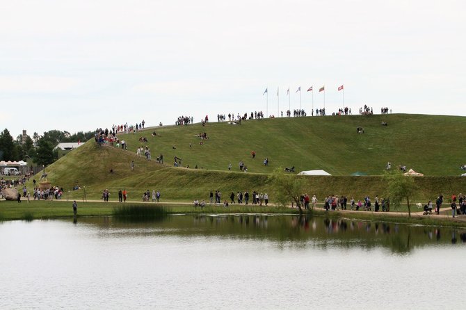 Gintarės Januševičienės nuotr./Festivalio „Naisių vasara“ akimirka