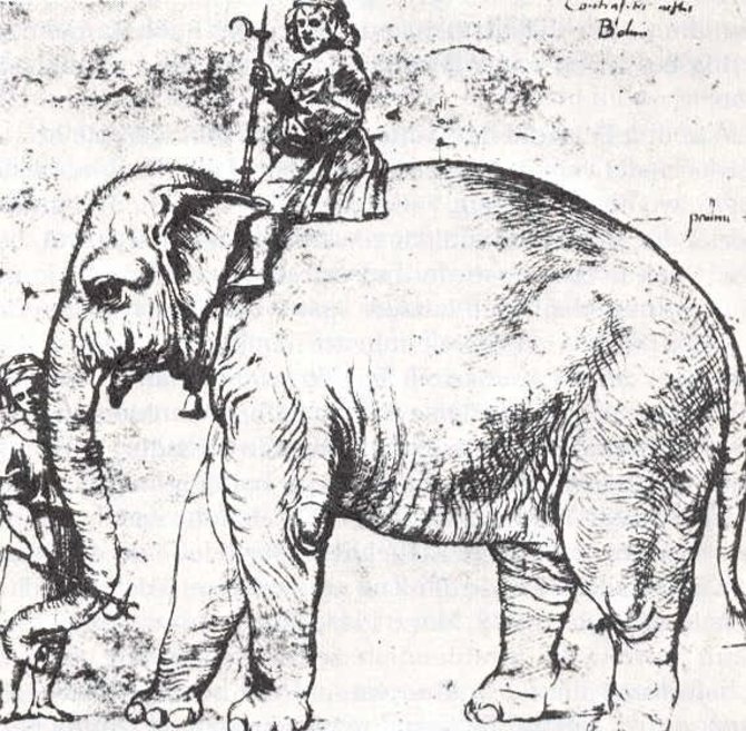 Wikiart.com nuotr./Raphaelio pieštas popiežiaus dramblys Hanno