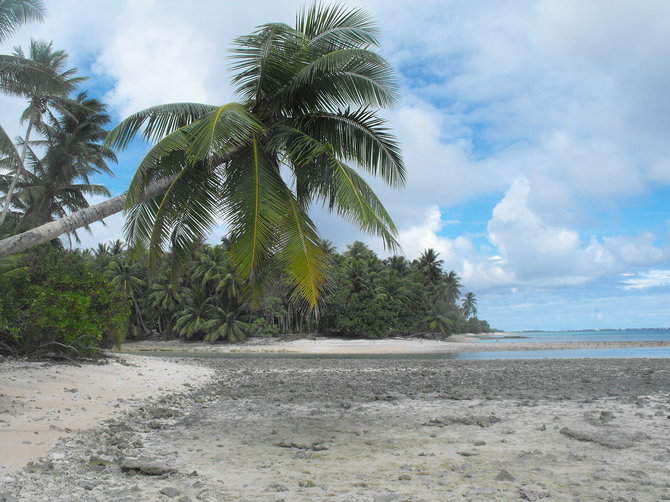 Wikimedia Commons nuotr./Paplūdimys Maršalo salose