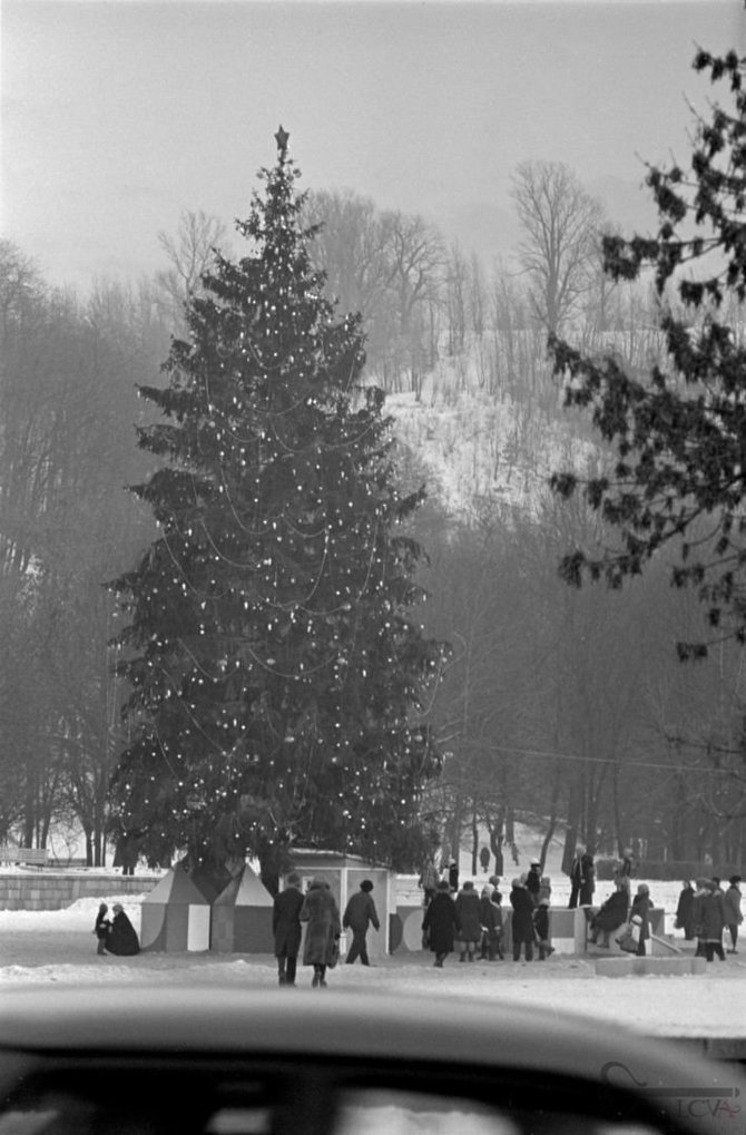 Lietuvos centrinio valstybės archyvo / Algimanto Žižiūno nuotr./Naujametinė eglė prie Katedros 1977 m.