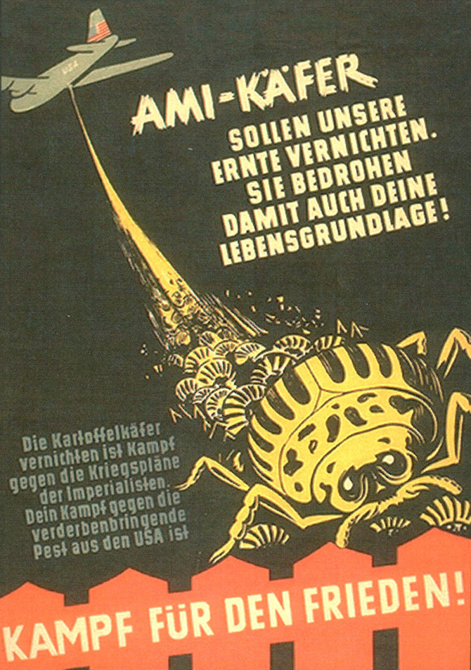 potatobeetle.com nuotr./Propagandinis plakatas, dėl Kolorado vabalų Vokietijoje kaltinantis amerikiečius