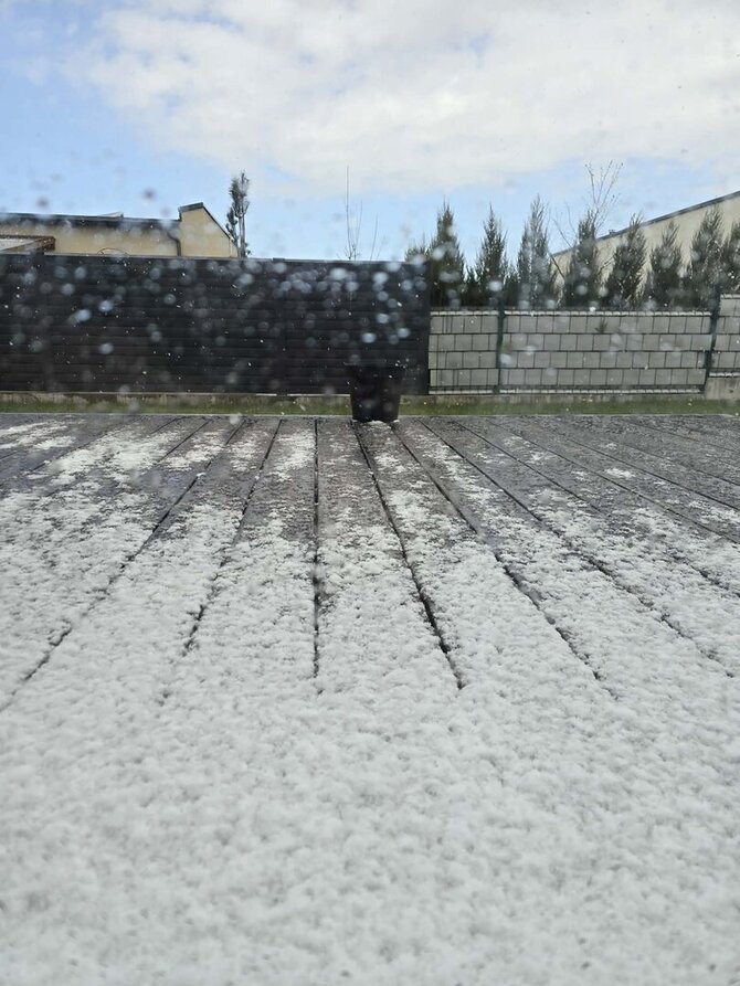 15min skaitytojos nuotr. /Sniegas Domeikavoje