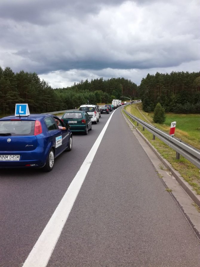 Gražūs miško vaizdai pro langą