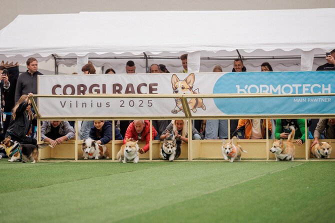 „Corgi Race“ organizatorių nuotr./„Corgi Race Vilnius 2025“