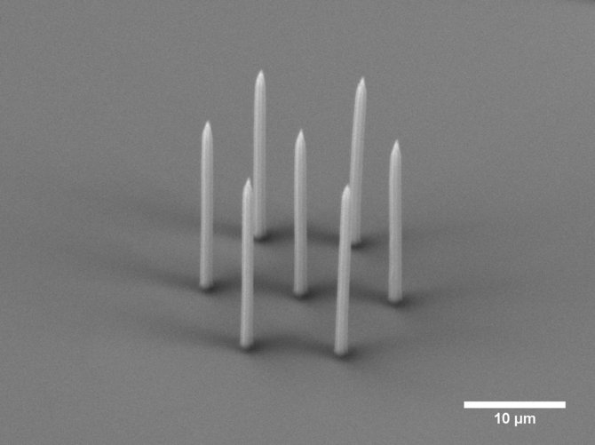 „Femtikos“ nuotr./3D nanofabrikavimo staklėmis pagamintas objektas (10 mikrometrų)