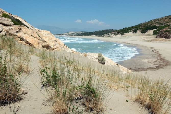 123rf.com nuotr. / Patara