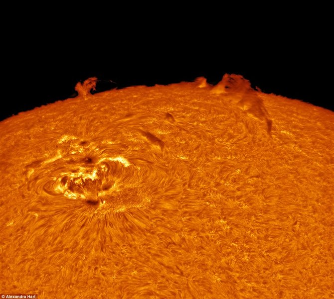 Aleksandros Hart nuotr./Nufotografuotas kunkuliuojantis Saulės diskas Alexandrai Hart pelnė kategorijos „Mūsų Saulės sistema“ nugalėtojos vardą