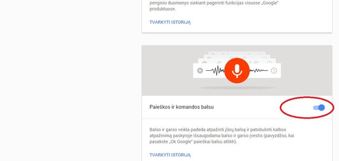 Google garso įrašų nustatymai