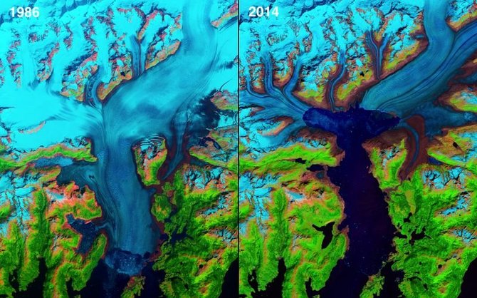 NASA nuotr./Nykstantis Kolumbijos ledynas Aliaskoje