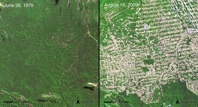 NASA nuotr./Atogrąžų miškai