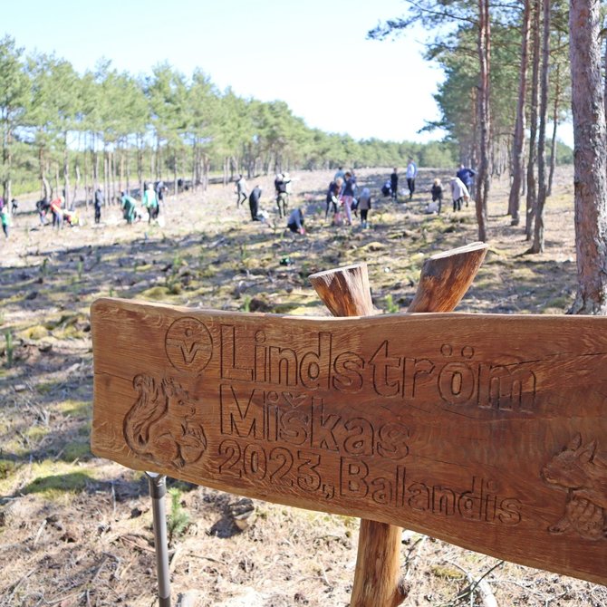 Gamintojo nuotr./„Lindström“ komanda sodina mišką / 2023 Kuršių Nerija