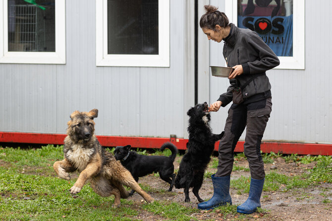 Gretos Skaraitienės / BNS nuotr./SOS gyvūnų prieglaudoje