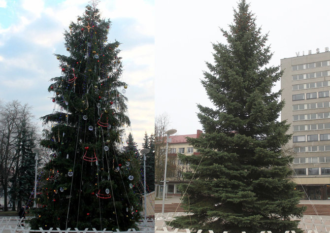 Tomo Markelevičiaus nuotr./Kalėdų eglė Panevėžyje 2013-aisiais (kairėje) ir šiemet