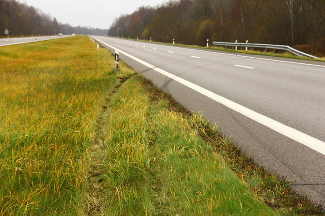 15min.lt nuotr./Avarijos vietoje