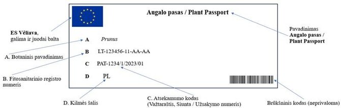 Užsakovo/Augalo pasas