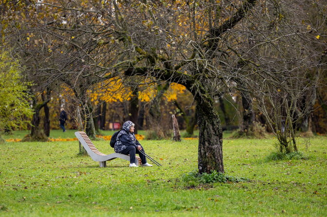Sauliaus Žiūros nuotr./Saulės vonios Karoliniškių obelyne