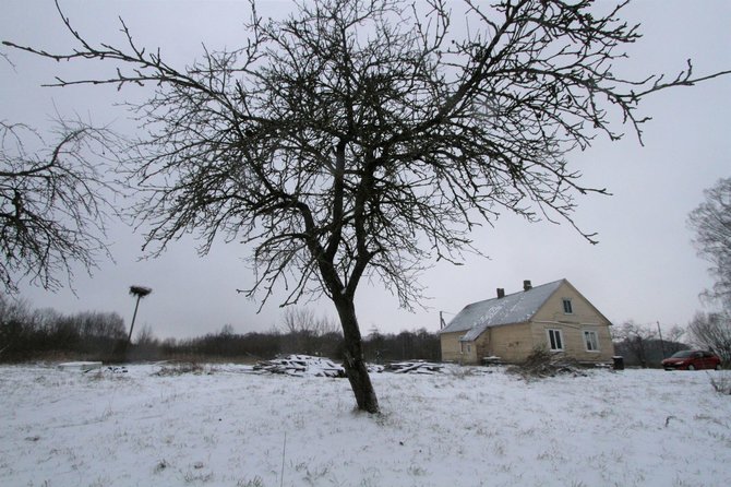 Alvydo Januševičiaus / 15min nuotr./Gitanos Šiaulienės sodyba