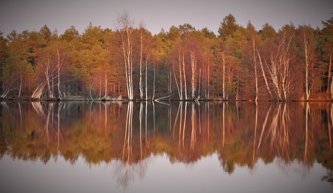 Alvydo Januševičiaus / 15min nuotr./Mūšos tyrelio pažintinis takas