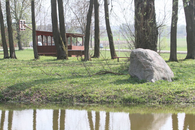 Patilčiuose net varnos yra bendruomenės dalis